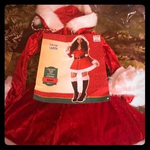 Santa Halloween costume